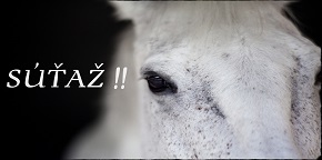 JAZDA NA KOŇOCH/kurz